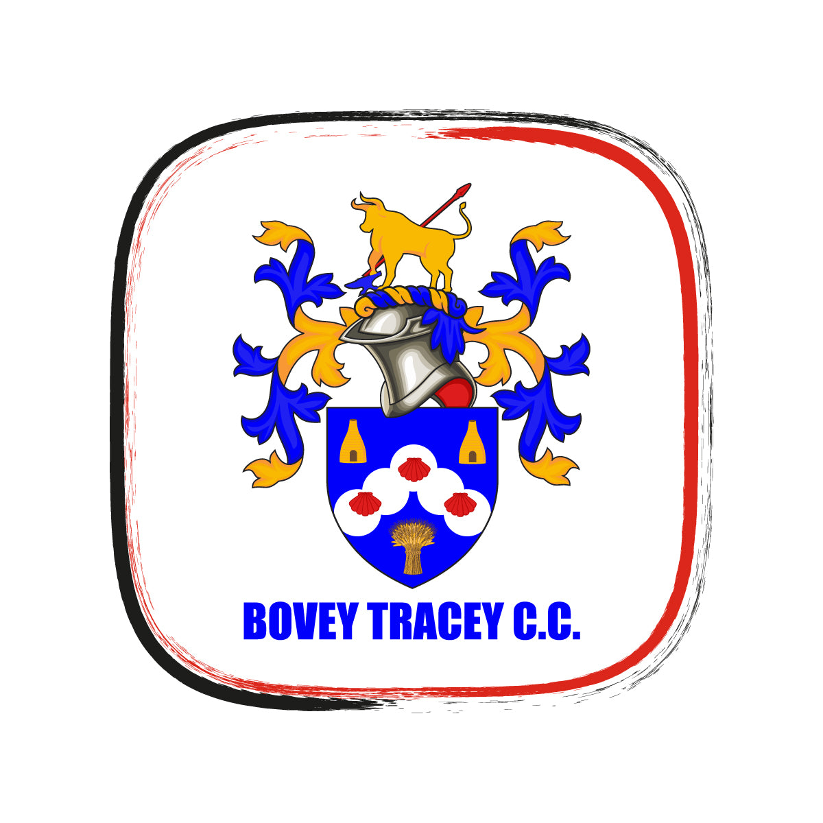 Bovey Tracey CC