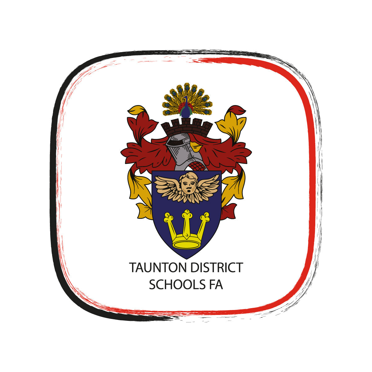 Taunton District Schools FA