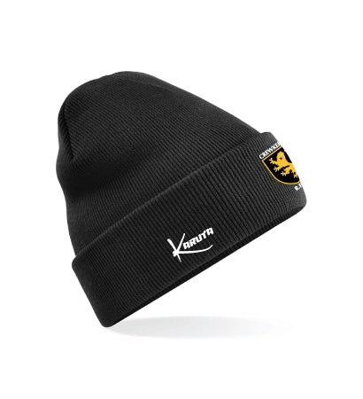 Beanie Hat